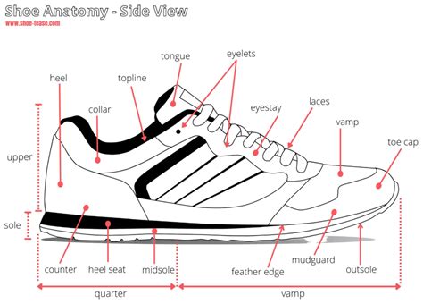 diagram of a sneaker.